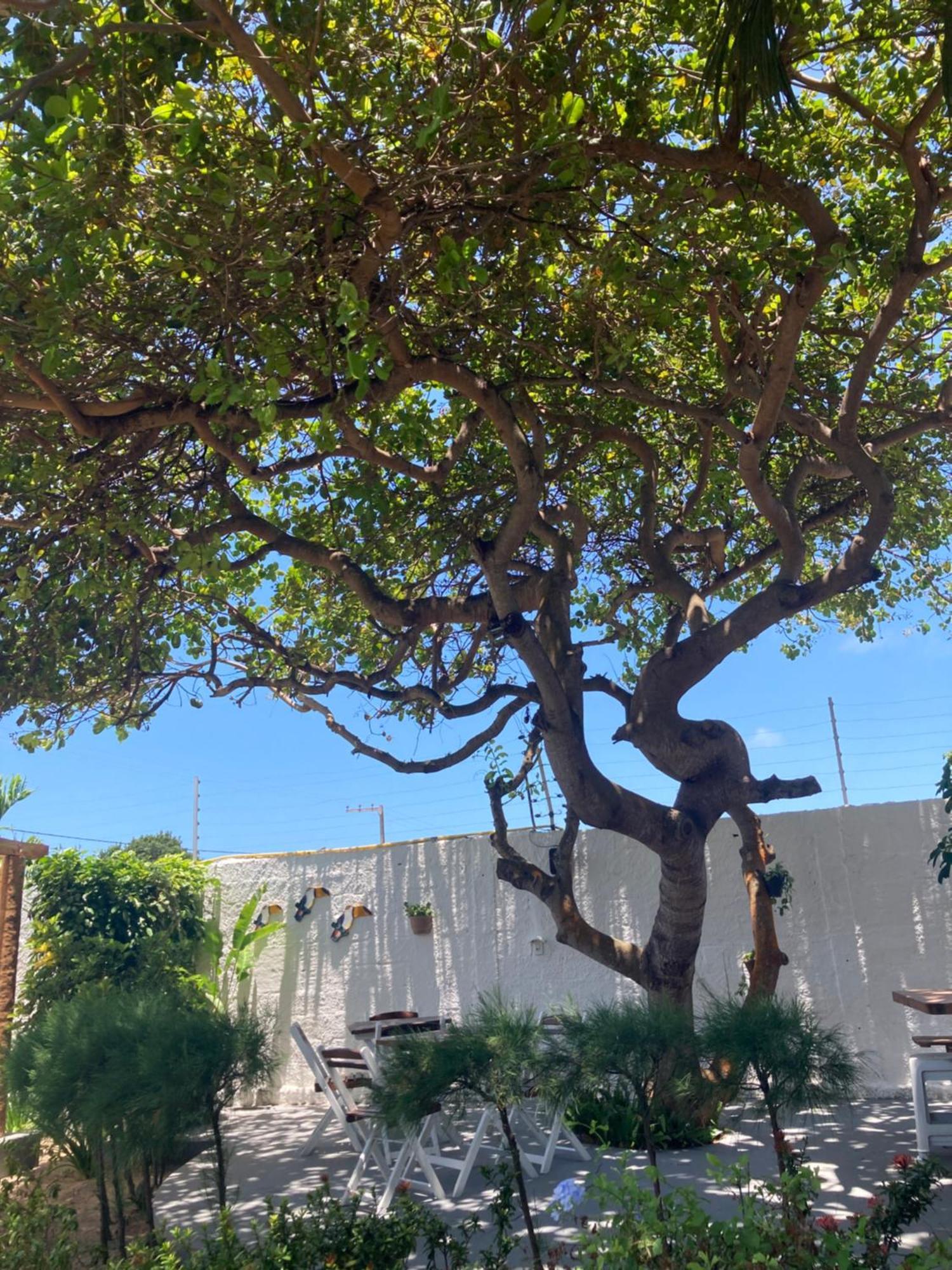 Pousada Vitoria Otel Pitimbu  Dış mekan fotoğraf